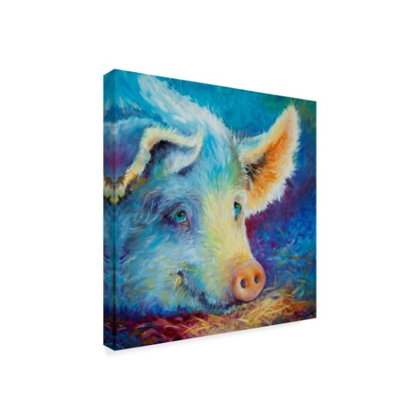 Marcia Baldwin 'Baby Blues Piggy' Canvas Art,18x18